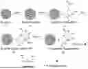 Fig. 01 - FUNCTIONAL PEPTIDE MODIFIED MAGNETIC COMPOSITE NANOBEAD AND PREPARATION METHOD THEREOF