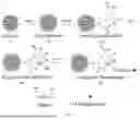 Fig. 02 - FUNCTIONAL PEPTIDE MODIFIED MAGNETIC COMPOSITE NANOBEAD AND PREPARATION METHOD THEREOF