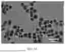 Fig. 06 - FUNCTIONAL PEPTIDE MODIFIED MAGNETIC COMPOSITE NANOBEAD AND PREPARATION METHOD THEREOF