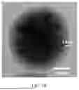 Fig. 07 - FUNCTIONAL PEPTIDE MODIFIED MAGNETIC COMPOSITE NANOBEAD AND PREPARATION METHOD THEREOF