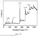 Fig. 09 - FUNCTIONAL PEPTIDE MODIFIED MAGNETIC COMPOSITE NANOBEAD AND PREPARATION METHOD THEREOF