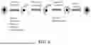 Fig. 07 - IMMOBILIZED AND STABILIZED LOO_GFP FLUORESCENT BIOSENSORS WITH AN ENHANCED DYNAMIC RANGE
