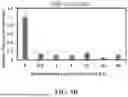 Fig. 11 - IMMOBILIZED AND STABILIZED LOO_GFP FLUORESCENT BIOSENSORS WITH AN ENHANCED DYNAMIC RANGE