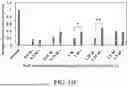 Fig. 20 - IMMOBILIZED AND STABILIZED LOO_GFP FLUORESCENT BIOSENSORS WITH AN ENHANCED DYNAMIC RANGE