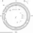 Fig. 01 - GRADIENT COILS AND MAGNETIC RESONANCE IMAGING DEVICES