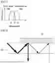 Fig. 06 - OPTICAL ELEMENT, LIGHT GUIDE ELEMENT, AND AR DISPLAY DEVICE