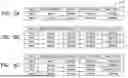Fig. 05 - MANAGEMENT SYSTEM, SERVER, AND STORAGE MEDIUM STORING PROGRAM
