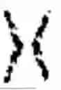 Fig. 02 - NOISE LEARNING OF MEASUREMENTS WITH KNOWN STATE INITIALIZATION