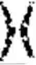 Fig. 22 - NOISE LEARNING OF MEASUREMENTS WITH KNOWN STATE INITIALIZATION