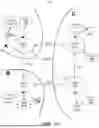 Fig. 02 - MULTI-MODEL ANALYSIS OF TRANSACTIONS FOR MULTI-USER ACCOUNTS