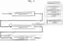 Fig. 06 - ELECTRONIC DEVICE AND METHOD OF OPERATING THE SAME