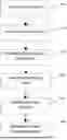 Fig. 01 - Systems and Methods for Generating Product Recommendations Based on Hand Size