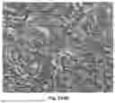 Fig. 294 - DATA BASED CANCER RESEARCH AND TREATMENT SYSTEMS AND METHODS