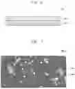 Fig. 07 - NEGATIVE ELECTRODE ACTIVE MATERIAL, NEGATIVE ELECTRODE INCLUDING THE NEGATIVE ELECTRODE ACTIVE MATERIAL, AND RECHARGEABLE LITHIUM BATTERY INCLUDING THE NEGATIVE ELECTRODE ACTIVE MATERIAL