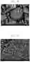 Fig. 09 - NEGATIVE ELECTRODE ACTIVE MATERIAL, NEGATIVE ELECTRODE INCLUDING THE NEGATIVE ELECTRODE ACTIVE MATERIAL, AND RECHARGEABLE LITHIUM BATTERY INCLUDING THE NEGATIVE ELECTRODE ACTIVE MATERIAL