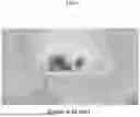 Fig. 10 - RADIATOR MODULE AND ANTENNA DEVICE FOR PERFORMING BROADSIDE RADIATION AND END-FIRE RADIATION