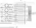 Fig. 06 - LOW COST LASER GENERATING MULTIPLE WAVELENGTHS