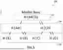 Fig. 06 - SYSTEMS AND METHODS FOR SECURELY MANAGING AND PROCESSING SEGMENTED DATA