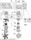 Fig. 02 - AUTOMATICALLY DETERMINING EXTRINSIC PARAMETERS OF MODULAR EDGE COMPUTING DEVICES