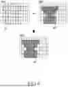Fig. 07 - METHOD FOR CAPTURING IMAGE INCLUDING ANIMAL, AND ELECTRONIC DEVICE THEREFOR