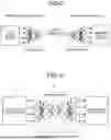 Fig. 10 - COMMUNICATION APPARATUS AND COMMUNICATION METHOD