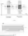 Fig. 03 - SPATIAL DOMAIN PARAMETER DETERMINATION METHOD, TERMINAL, AND NETWORK-SIDE DEVICE