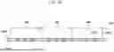 Fig. 05 - METHOD FOR MANUFACTURING WIRING SUBSTRATE, AND WIRING SUBSTRATE