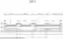 Fig. 06 - LIGHT EMITTING DISPLAY APPARATUS