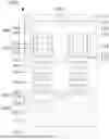 Fig. 01 - INTEGRATED CIRCUIT AND METHOD FOR FORMING THE SAME