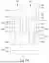 Fig. 48 - INTEGRATED CIRCUIT AND METHOD FOR FORMING THE SAME